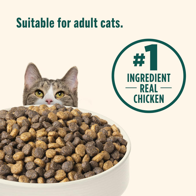 Rachael Ray Nutrish Indoor Complete Chicken, Lentils & Salmon Recipe Dry Cat Food, 6 lb.