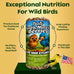 4 inch x 7.75 inch Flockin' Bugs Nuts and Berries Bird Seed Cylinders with Hole for Blue Birds and Woodpeckers