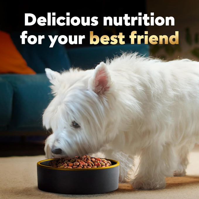 Cesar Small Breed Dry Dog Food, Filet Mignon Flavor, 12 lb