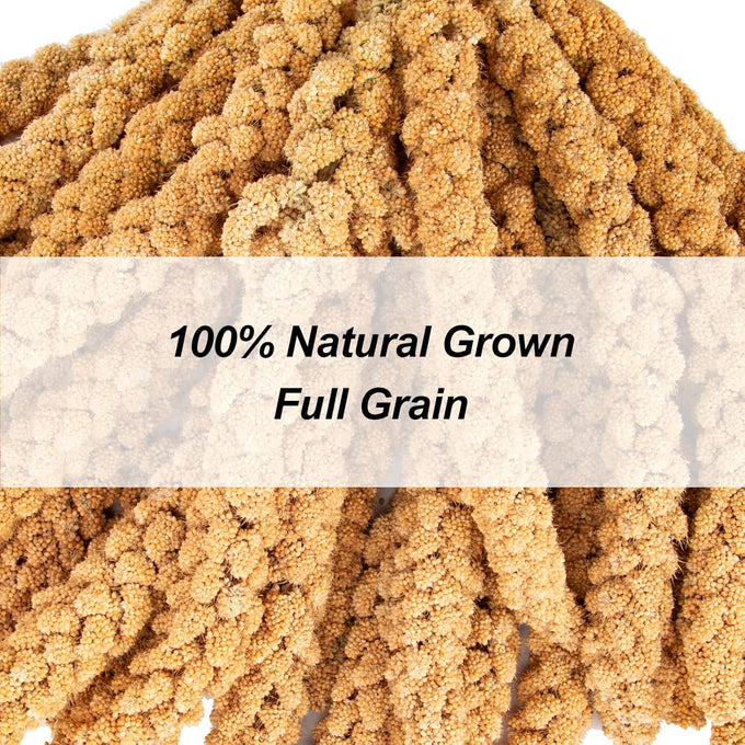 amzey 5.5lb non-gmo natural sun-dried spray millet for parakeets and parrots