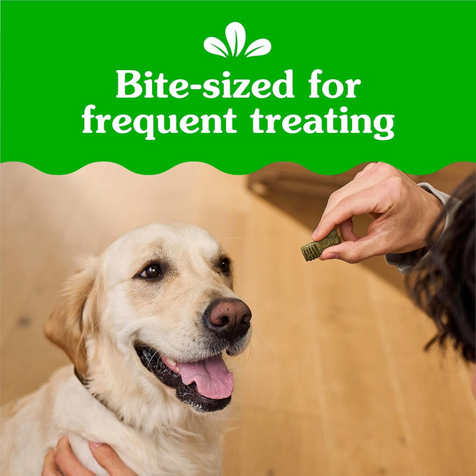 Greenies Original Flavor Anytime Bites Dog Treats, 24 oz, Small, Irresistible Taste, USA Made, 13 Calories Per Treat