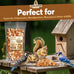 Raw shelled peanuts for squirrels and wildlife, unsalted and grown in the USA, 25 lb bulk