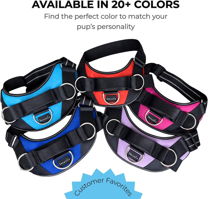 ShawnCo Essential Dog Harness for Small, Medium, and Large Dogs, No-Pull Pet Vest with 3 Leash Clips and Reflective Straps, Oceanic Blue, S