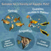 premium-tropical-fish-flakes-for-angel-fish-guppies-live-bearers-loaches-gouramis-cichlids-and-all-tropical-fish-with-pellets-and-wafers-1-30oz-canister