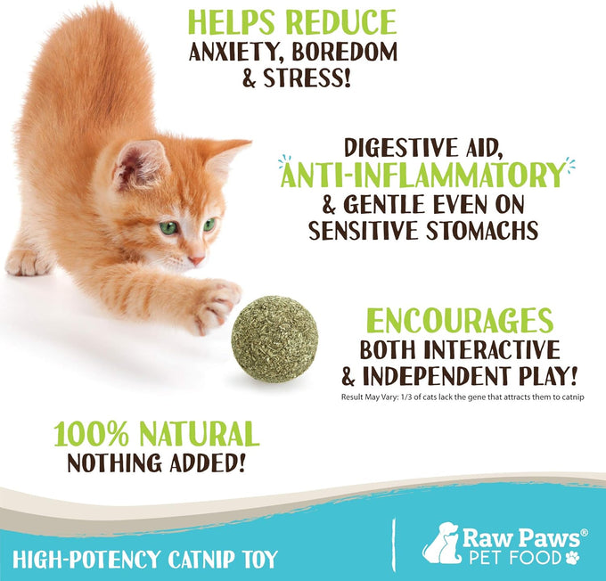 raw paws catnip balls 6-count interactive cat toys for indoor cats catnip licking balls natural all-natural catnip no artificial ingredients