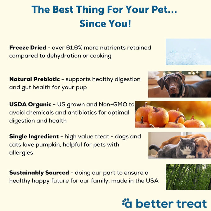 A Better Treat Freeze Dried Organic Pumpkin Dog and Cat Treats, Single Ingredient, Natural, Healthy