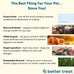 A Better Treat Freeze Dried Organic Pumpkin Dog and Cat Treats, Single Ingredient, Natural, Healthy
