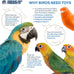 prevue pet products playfuls shredding stack bird toy 60247 for small and medium birds