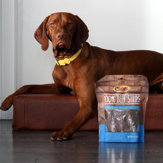 Cadet 100% Beef Strips Dog Treats, Single Ingredient, High Protein Rawhide Alternative for Small & Large Dogs, 8 Ounce
