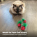 Catstages Strawbabies 3-Pack interactive cat toys for kittens and indoor cats with catnip, feathers, and crinkle