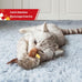 GiGwi Squeaky Bird Cat Toy with Feather Tail, Melody Chaser Play for Boredom, Realistic Bird Design