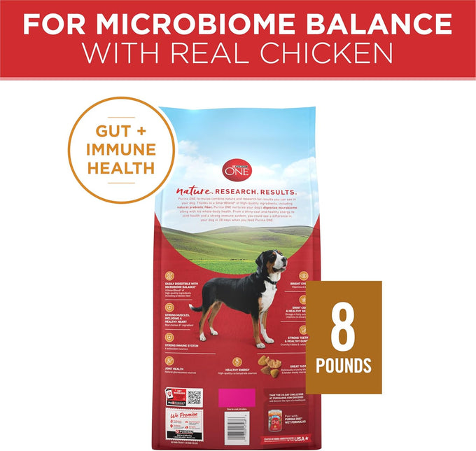 Purina ONE Chicken & Rice Dry Dog Food - 8 lb