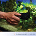 Aqueon Aquarium Algae Scraper for Glass/Acrylic, Small, Black - Easy Fish Tank Cleaning
