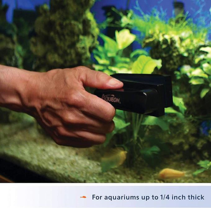 Aqueon Aquarium Algae Scraper for Glass/Acrylic, Small, Black - Easy Fish Tank Cleaning
