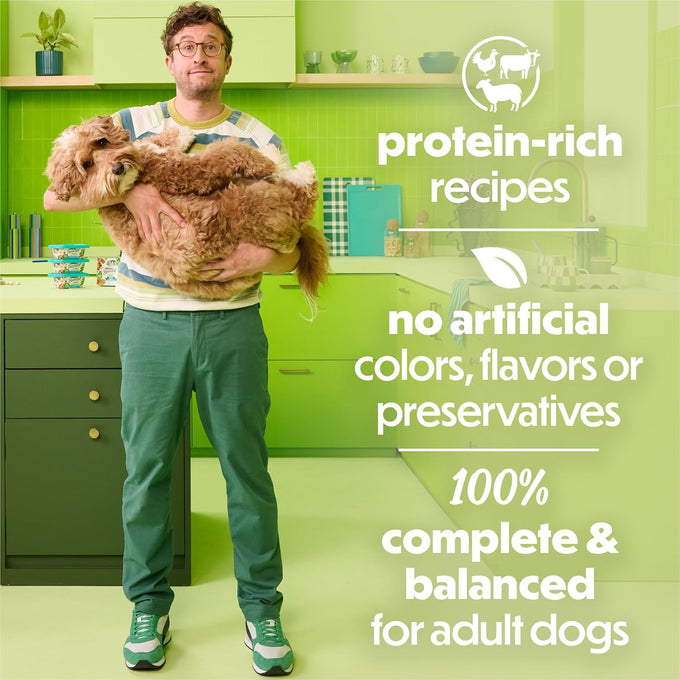 Purina Beneful Freshly Prepared Blends Wet Dog Food Variety Pack