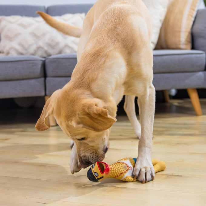 Outward Hound Charming Pet squawkers Earl latex rubber chicken dog toy funny large size