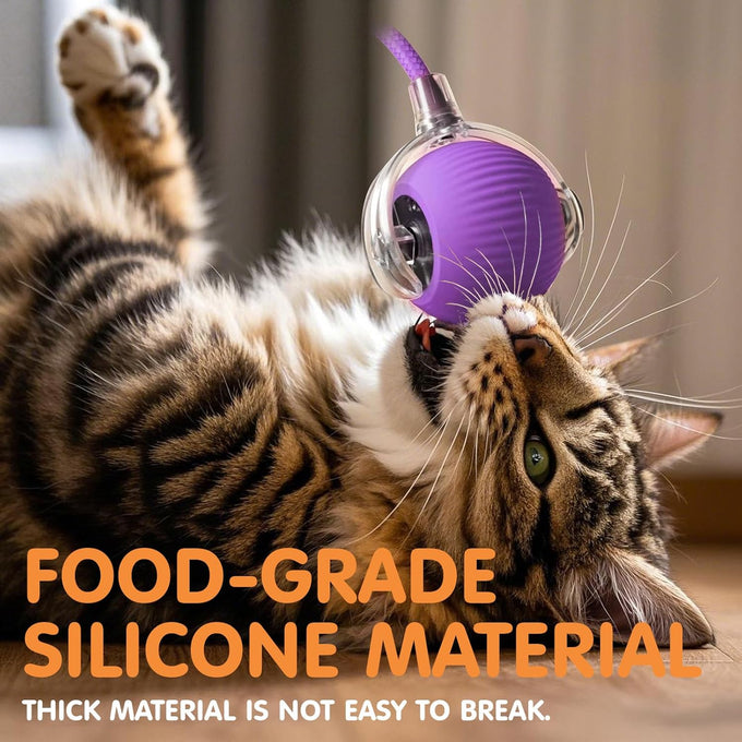 Rocfish Durable Interactive Cat Toy for Indoor Cats, Automatic Chase Ball Toy Purple