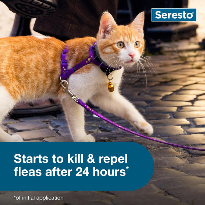 Seresto cat vet-recommended flea tick treatment prevention collar 8 months protection for cats