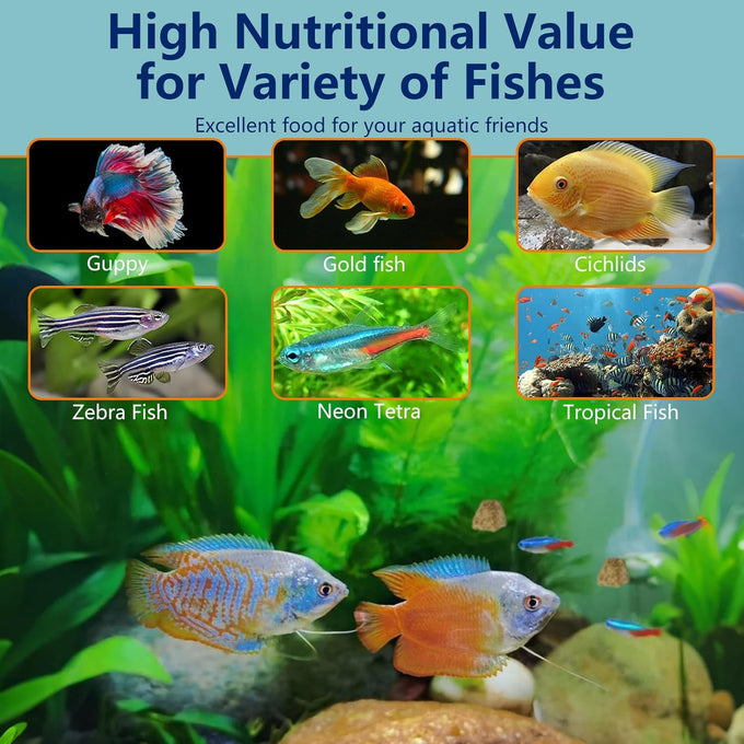 Freeze dried brine shrimp cubes 4.5 oz for tropical fish and marine fish high protein aquatic food