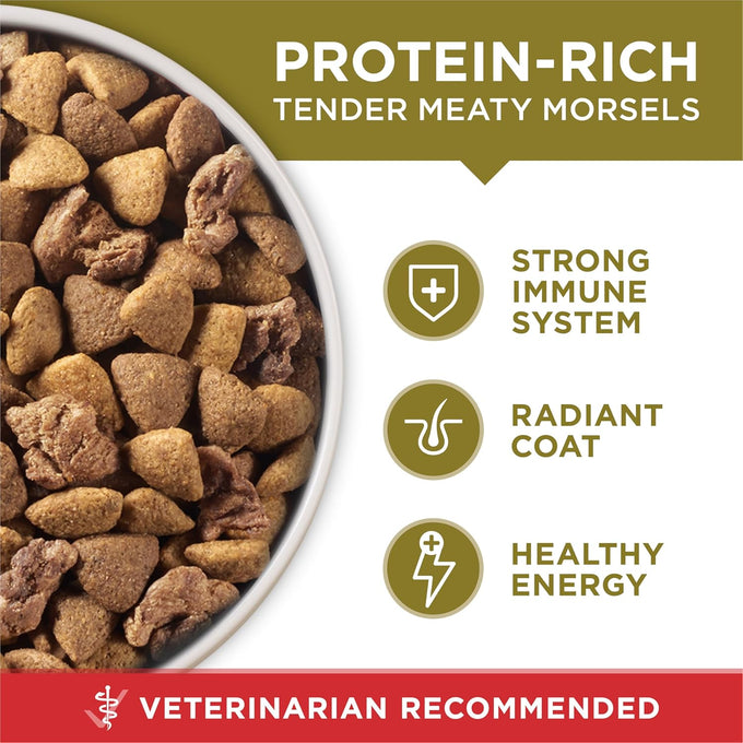 Purina ONE Dry Dog Food - Lamb & Rice Formula, 16.5 lb