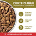 Purina ONE Dry Dog Food - Lamb & Rice Formula, 31.1 lb