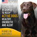 FIDELIS Freeze Dried Raw Dog Food, High Protein, Chicken, Blueberries
