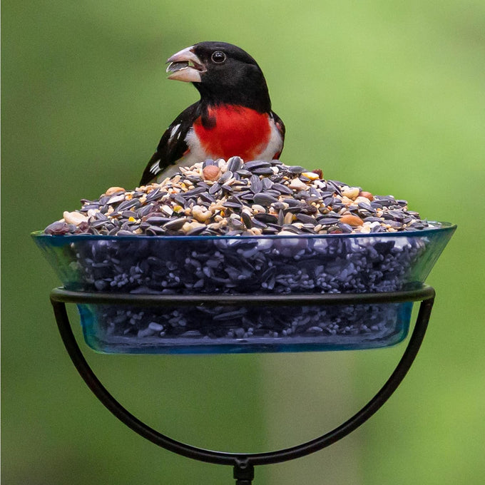 Audubon Park extreme variety wild bird seed for outside feeders, 15-lb. bag, year-round use