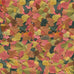 Tetra Min Large Tropical Flakes for Top/Mid Feeders, 5.65-Ounce, XL Tropical Formula
