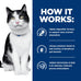 Hill's Prescription Diet i/d Digestive Care Dry Cat Food, Chicken, 4 lb. Bag