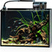 NICREW 2.5 gallon nano nature aquarium kit, black, ultra-clear glass, rimless desktop fish tank with light and filter