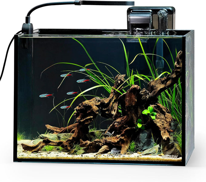 NICREW 2.5 gallon nano nature aquarium kit, black, ultra-clear glass, rimless desktop fish tank with light and filter