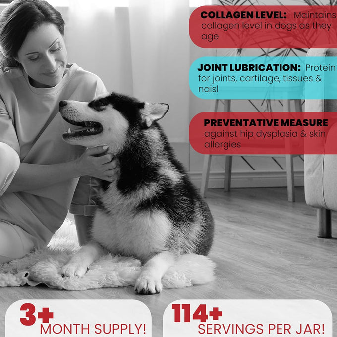 Grass fed Collagen for Dogs supports healthy skin, coat, hip, joint care and cartilage support for dogs with 100% all natural collagen