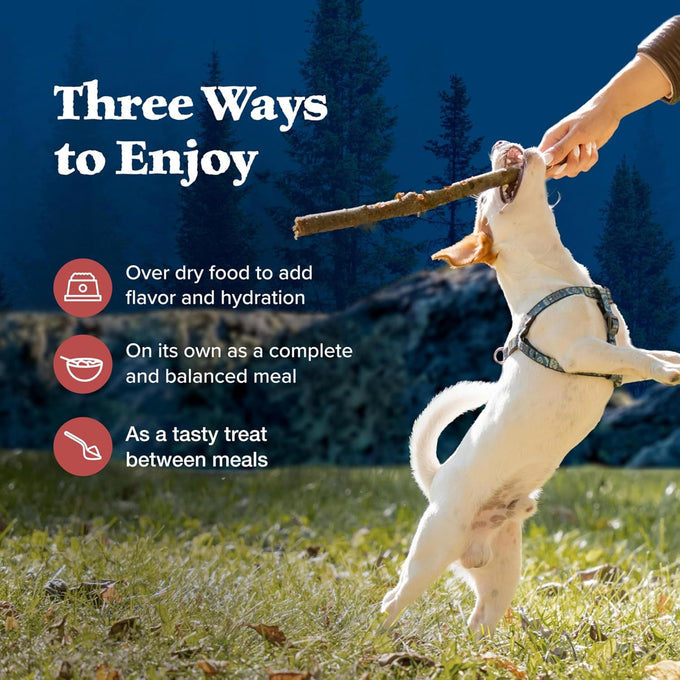 Blue Buffalo Wilderness Adult Wet Dog Food, High-Protein, Grain-Free