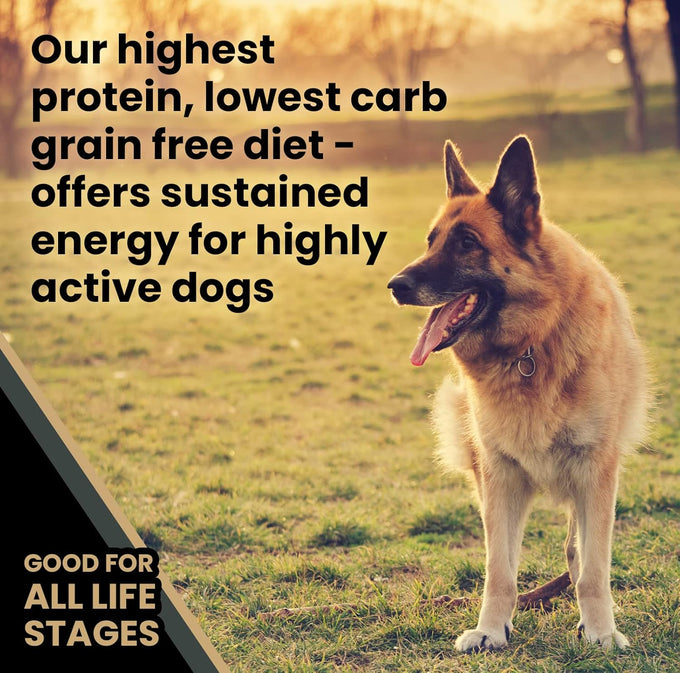 VICTOR Grain-Free High-Protein Dog Food, 42% Protein, 5 lb