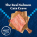 Blue Buffalo Wilderness Salmon Grain-Free Adult Dry Cat Food, 5-lb High-Protein Bag, Natural Ingredients