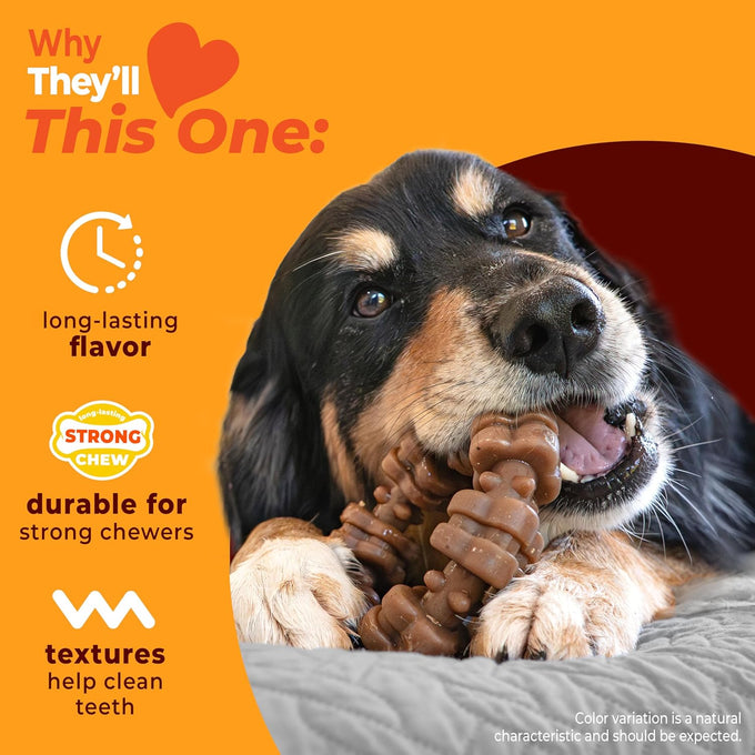 Nylabone strong chew textured ring dog toy, real beef and chicken, durable for aggressive chewers, x-large breeds over 50 lbs