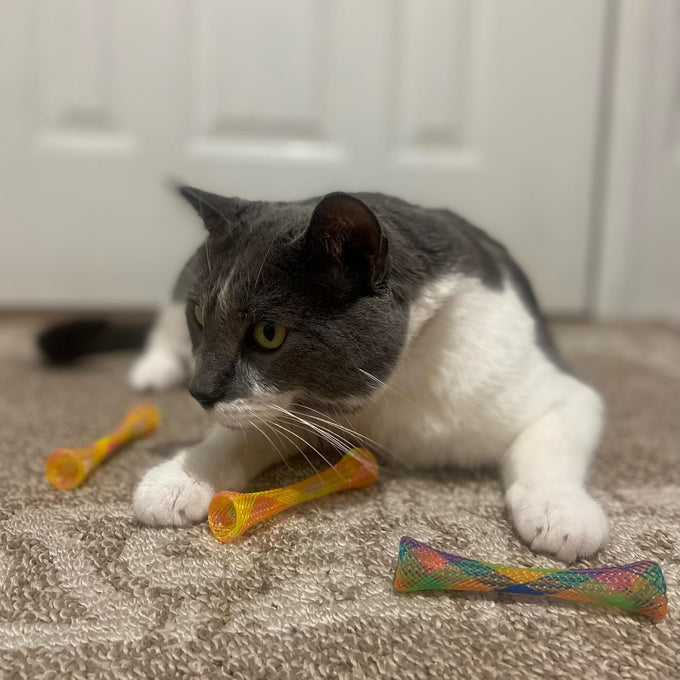 Spot Kitty Fun Tubes Cat Toy 3-Piece Bouncy Set with Catnip for Cats and Kittens Interactive Play