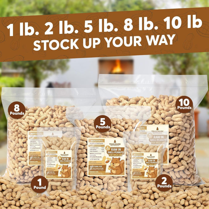 12 lb raw peanuts for squirrels and wildlife, grown in the usa, in-shell peanuts for birds and backyard visitors