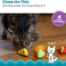Catstages 4-pack Dental Fruit Wedges soft and textured catnip chew toys for adult cats and kittens
