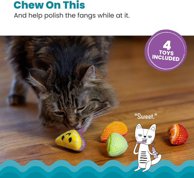 Catstages 4-pack Dental Fruit Wedges soft and textured catnip chew toys for adult cats and kittens