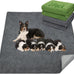 loobani 2 packs extra large reusable dog mat for floor, non-slip washable pee pads for dogs, gray, 36x48 inches
