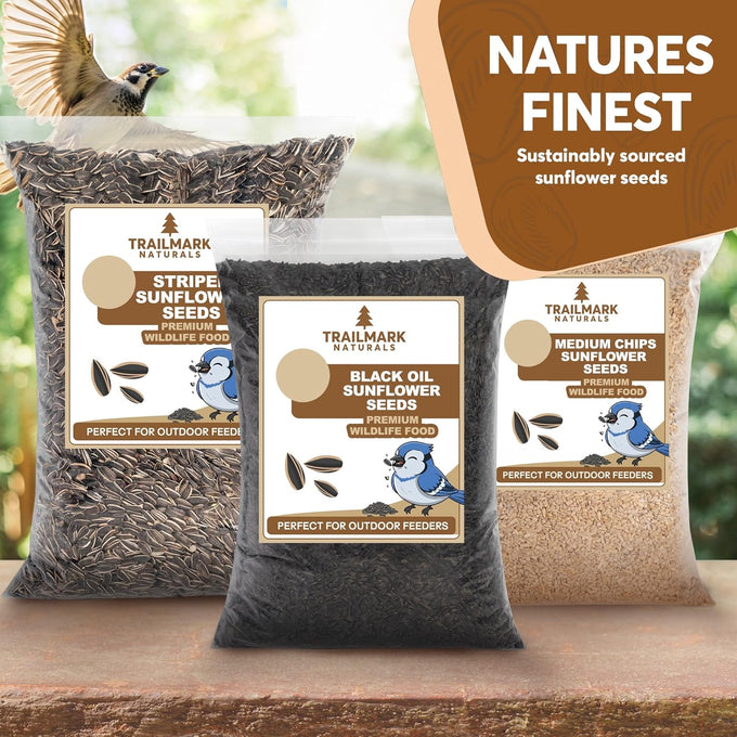 15 LB Black Oil Sunflower Seeds for Birds - Premium Wildlife Food - Non-GMO - Grown in the USA