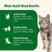 Rachael Ray Nutrish Premium Natural Dry Cat Food, Chicken and Brown Rice, 14 Pounds