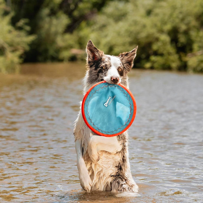 chuckit paraflight flying disc dog toy durable nylon water floating flyer for medium large dogs size large
