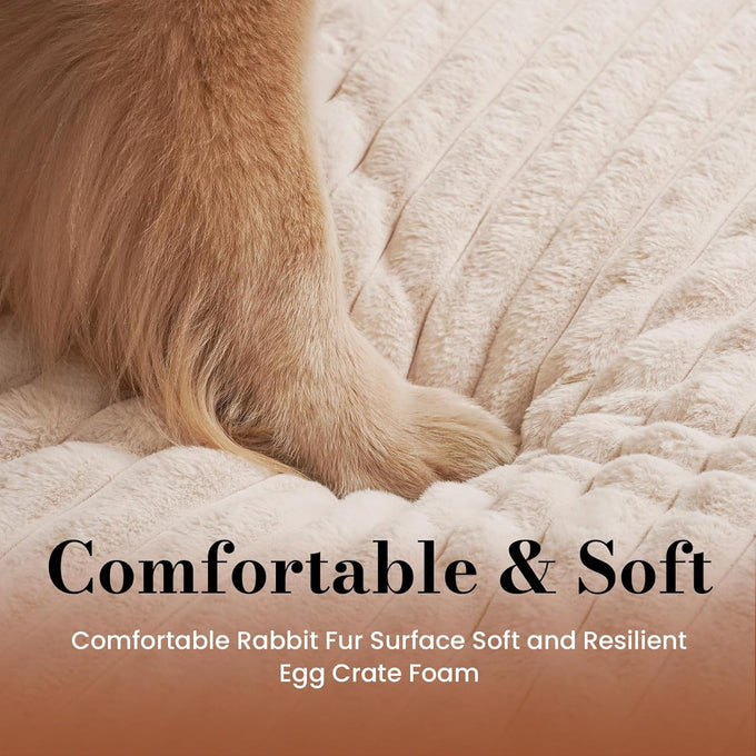 large dog beds with orthopedic support, waterproof lining, and plush surface