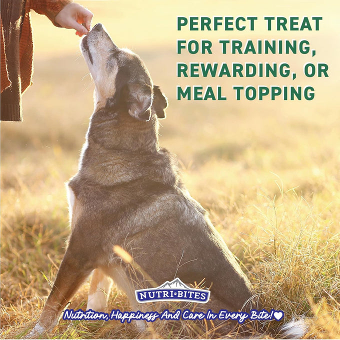 Nutri Bites 100% single ingredient beef liver dog and cat treats, high protein, 17.6 oz