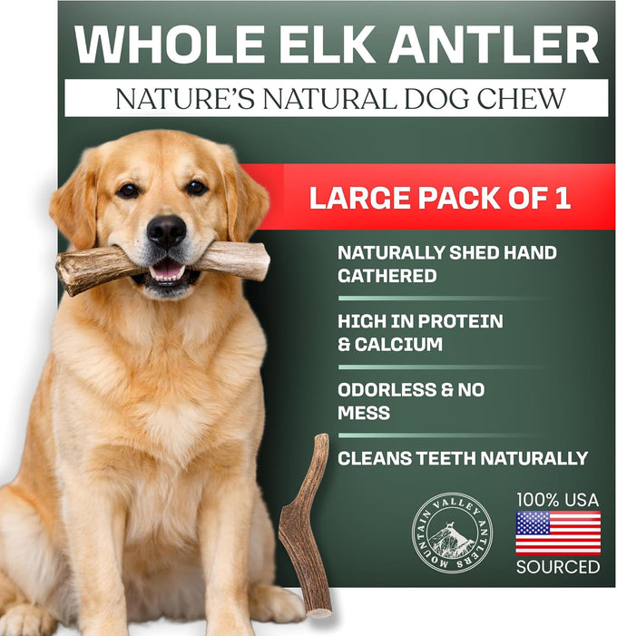 Mountain Valley elk antlers for dogs - 100% natural & organic chews, no odor, no mess, long lasting, grade A, large size