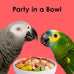 kaytee fiesta parrot food 2.5 pounds nutritious fun blend supports skin feather digestion brain heart health