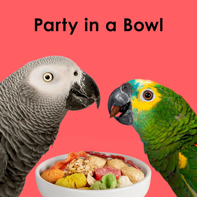 kaytee fiesta parrot food 2.5 pounds nutritious fun blend supports skin feather digestion brain heart health
