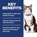 Hill's Science Diet Adult 1-6 Hairball Control Dry Cat Food, Chicken, 3.5 lb. Bag